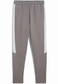 Puma - Młodzieżowe spodnie Evostripe PUMA Cast Iron Gray. Kolor: szary