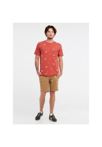 Koszulka męska Protest PRTNILLO t-shirt. Kolor: szary, czerwony, brązowy, wielokolorowy. Sport: turystyka piesza #1