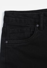 Born2be - Czarne Jeansowe Szorty z Bawełną i Wysokim Stanem Ozdobione Przetarciami Vimaselle. Okazja: na co dzień. Stan: podwyższony. Kolor: czarny. Materiał: jeans, bawełna. Wzór: aplikacja. Sezon: lato. Styl: elegancki, casual, wizytowy #7