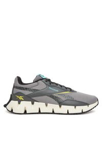 Reebok Buty do biegania ZIG DYNAMICA STR 100209976 Szary. Kolor: szary. Materiał: materiał #1