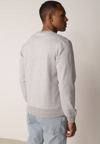 Born2be - Szara Bluza o Klasycznym Kroju z Bawełną Merinne. Okazja: na co dzień. Kolor: szary. Materiał: bawełna. Styl: klasyczny #5