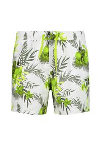 Kąpielówki w tropikalny wzór CMP. Kolor: zielony #1