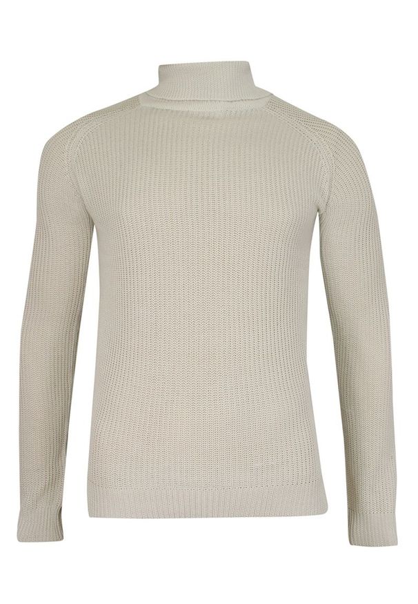 Golf Jasny Szary Dziergany, Męski, Super Slim, Przylegający, Elegancki -Brave Soul. Typ kołnierza: golf. Kolor: szary. Materiał: poliester, dziergany. Wzór: ze splotem. Sezon: zima, jesień. Styl: elegancki