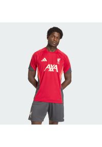 Adidas - Koszulka Liverpool FC Tiro 25 Competition Training. Kolor: czerwony. Sport: piłka nożna #1
