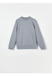 Sinsay - Bluza - niebieski. Kolor: niebieski. Materiał: bawełna, dzianina