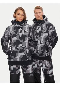 Colourwear Bluza techniczna Hoodie 7010302 Czarny Regular Fit. Kolor: czarny. Materiał: bawełna