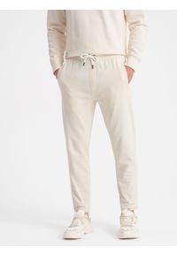 Ombre Clothing - Męski dresowy komplet bluza + spodnie – kremowy V11. Okazja: na co dzień. Kolor: kremowy. Materiał: dresówka. Wzór: aplikacja, jednolity. Styl: klasyczny, casual #6