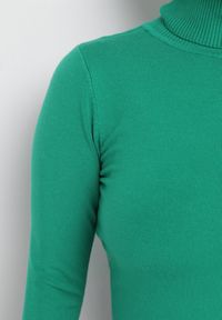 Born2be - Zielony Sweter Golf o Dopasowanym Fasonie Bewina. Typ kołnierza: golf. Kolor: zielony. Materiał: tkanina, dzianina. Długość rękawa: długi rękaw. Długość: długie. Wzór: aplikacja, gładki #4