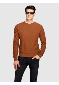 Sisley Sweter 1041T102A Brązowy Regular Fit. Kolor: brązowy. Materiał: syntetyk