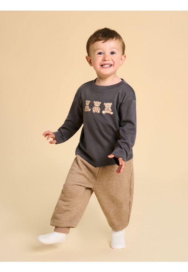 Sinsay - Cieplejsze spodnie z polarem w środku - brązowy. Kolor: brązowy. Materiał: polar