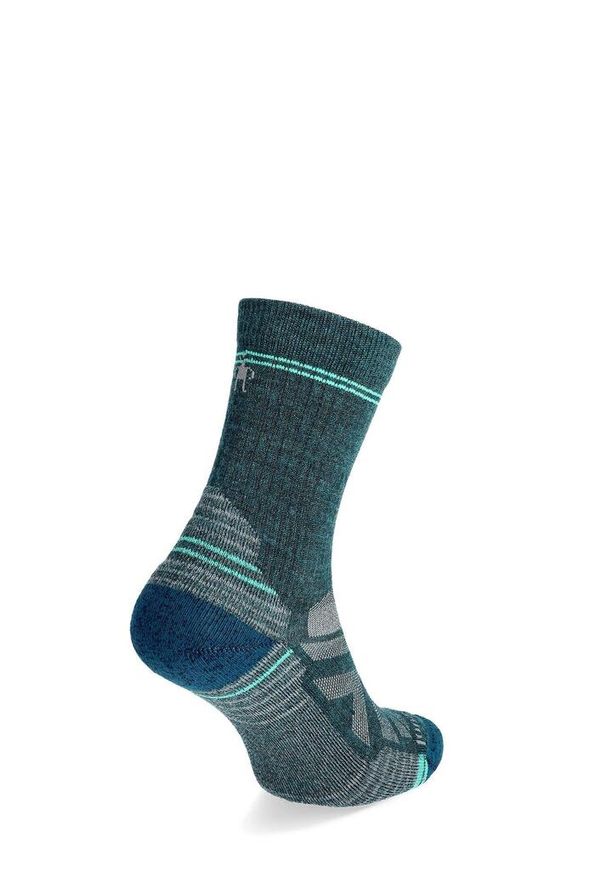 Skarpety trekkingowe damskie Smartwool Performance Hike Light Cushion Crew Women. Kolor: niebieski. Materiał: wełna. Sport: turystyka piesza
