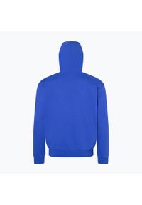 Bluza trekkingowa męska Marmot Coastal Hoody. Kolor: niebieski