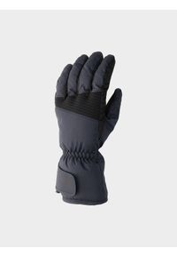 4f - Rękawice narciarskie Thinsulate© męskie. Kolor: niebieski. Materiał: materiał, syntetyk. Technologia: Thinsulate. Sport: narciarstwo #1
