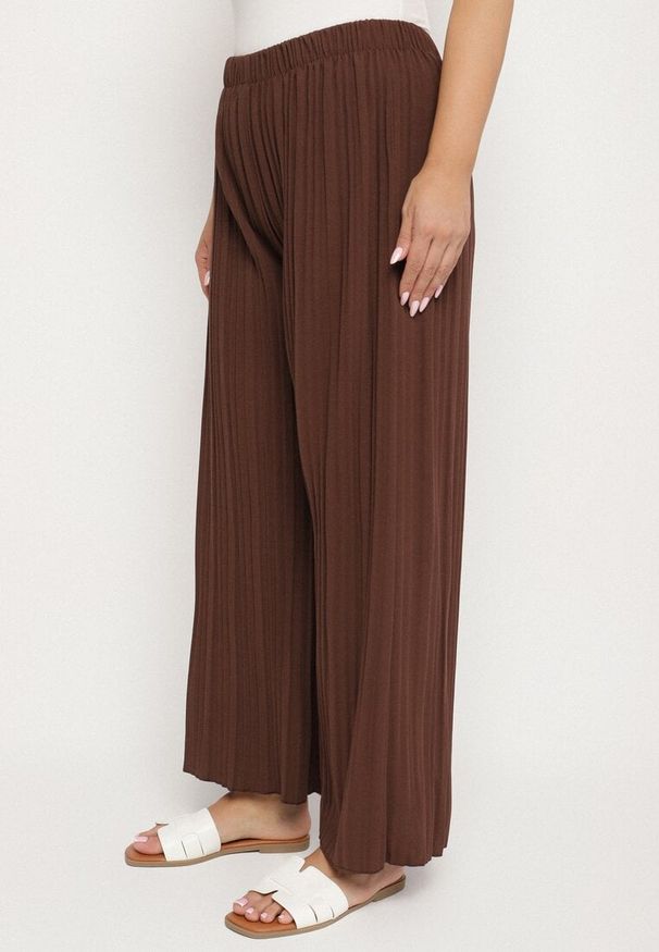 Born2be - Brązowe Szerokie Spodnie z Plisowanej Tkaniny z Gumką w Pasie Cesele. Kolekcja: plus size. Kolor: brązowy. Materiał: tkanina. Styl: elegancki