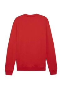 Bluza sportowa męska Puma B23612. Kolor: czerwony. Sport: piłka nożna