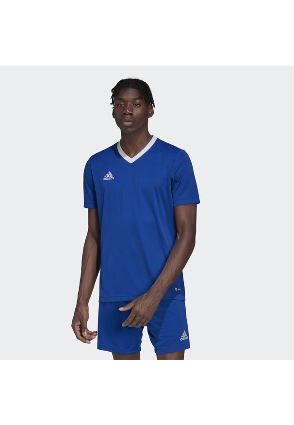 Adidas - Koszulka piłkarska męska adidas Entrada 22 Jersey. Kolor: biały, wielokolorowy, niebieski. Materiał: jersey. Sport: piłka nożna