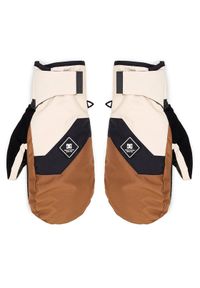 DC Shoes Rękawice narciarskie Franchise ADYHN03029 Brązowy. Kolor: brązowy. Materiał: poliester. Sport: narciarstwo #1