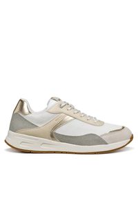Sneakersy Geox. Wzór: kolorowy #1