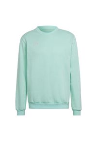 Adidas - Bluza adidas Entrada 22. Kolor: zielony. Sport: fitness, piłka nożna
