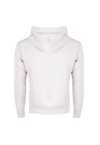 Champion - Bluza trekking męska. Typ kołnierza: kaptur. Kolor: fioletowy. Materiał: bawełna. Wzór: nadruk. Sport: turystyka piesza