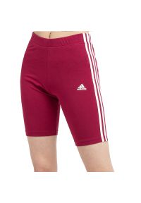 Adidas - Spodenki adidas Essential W 3S BK HD1801 - bordowe. Kolor: czerwony. Materiał: elastan, materiał, bawełna. Wzór: aplikacja. Sport: kolarstwo, fitness