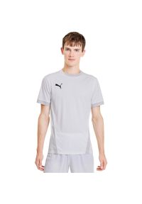 Podkoszulek Puma Teamgoal 23 Jersey, Mężczyźni. Kolor: szary. Materiał: jersey