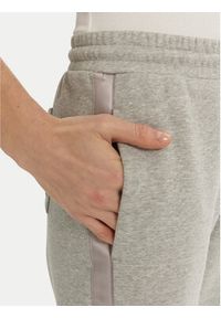 Max Mara Leisure Spodnie dresowe Dudy 2516781107 Szary Regular Fit. Kolor: szary. Materiał: syntetyk, bawełna #3
