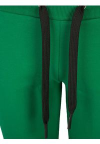 Takeshy Kurosawa Spodnie "Jogg Base" | 82973 | Jogg Base | Mężczyzna | Zielony. Okazja: na co dzień. Kolor: zielony. Materiał: bawełna, elastan. Styl: casual #5