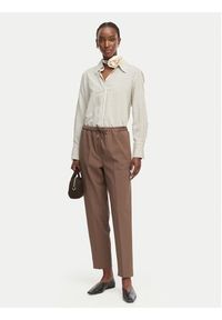 Marella Spodnie materiałowe Teso 2613131075 Brązowy Regular Fit. Kolor: brązowy. Materiał: syntetyk #4