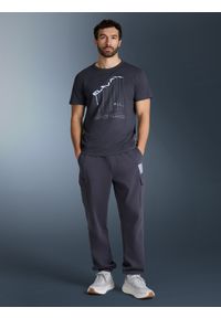 4f - 4F T-shirt regular z nadrukiem męski - szary XXL. Okazja: na spacer, do pracy, na co dzień. Kolor: szary. Materiał: materiał, dzianina, bawełna. Wzór: nadruk. Styl: casual, klasyczny