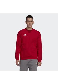 Adidas - Bluza adidas Entrada 22. Kolor: czerwony. Sport: fitness #1