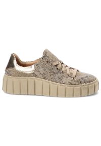 DAMISS - Złote Sneakersy Damskie Damiss Modne Obuwie. Kolor: złoty. Materiał: zamsz, skóra. Szerokość cholewki: normalna. Wzór: jednolity, motyw zwierzęcy, nadruk #8