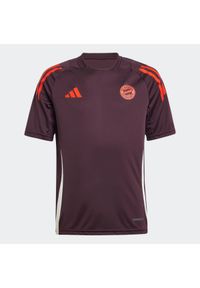 Adidas - Koszulka piłkarska dla dzieci ADIDAS FC Bayern 24/25. Sport: piłka nożna