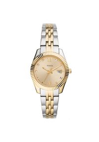 Zegarek Fossil. Kolor: srebrny #1