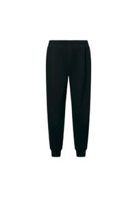 Oakley Spodnie Relax Jogger 2.0 Foa404843-02E. Kolor: czarny
