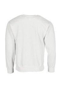 FRUIT OF THE LOOM - Męska Bluza Z Nadrukiem Logo W Stylu Vintage. Kolor: biały. Wzór: nadruk