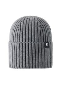 Czapka Reima. Kolor: szary