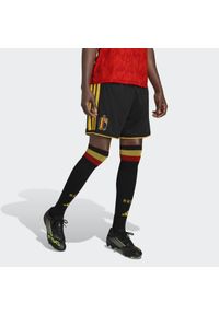 Adidas - Szorty podstawowe Belgia 26. Kolor: żółty, wielokolorowy, czarny. Sport: piłka nożna #1