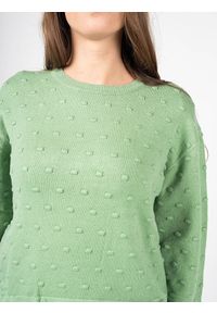 Silvian Heach Sweter | PGA22142MA | Kobieta | Zielony. Kolor: zielony. Materiał: nylon, poliester, wiskoza. Długość: krótkie. Wzór: aplikacja #3