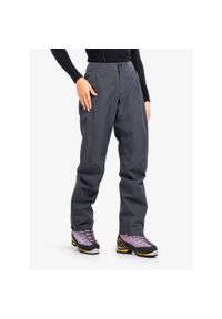 Spodnie damskie Black Diamond Liquid Point Pants. Kolor: szary