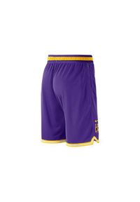 Spodnie koszykarskie męskie Nike Los Angeles Lakers. Kolor: wielokolorowy. Długość: krótkie