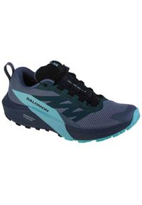 salomon - Buty do biegania męskie Salomon Sense Ride 5 Gtx. Kolor: niebieski. Materiał: tkanina, materiał, syntetyk. Szerokość cholewki: normalna