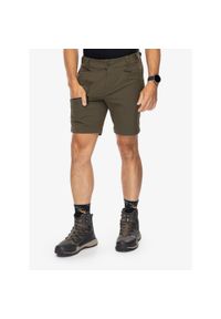 Spodenki turystyczne męskie Helly Hansen Blaze Softshell Shorts. Kolor: zielony. Materiał: softshell