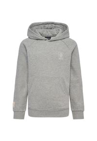 Bluza z kapturem dla dzieci Hummel GG-12. Typ kołnierza: kaptur. Kolor: szary. Sport: joga i pilates #1