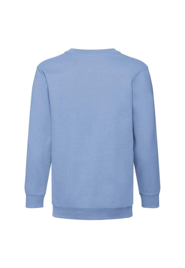 FRUIT OF THE LOOM - Bluza Dziecięca Premium W Komplecie. Kolor: niebieski