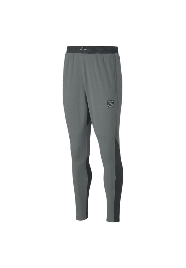 Spodnie Puma King Ultimate Training Pants, Mężczyźni. Kolor: szary. Materiał: materiał, dresówka, poliester. Sport: piłka nożna