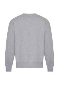 AWDIS - Bluza Unisex Dla Dorosłych Signature Heavyweight Heavyweight. Kolor: szary