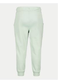 Didriksons Spodnie dresowe Corin 505004 Zielony Regular Fit. Kolor: zielony. Materiał: syntetyk #2