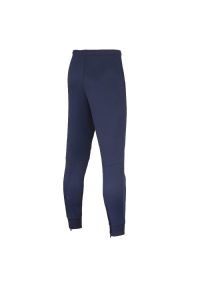 Spodnie do biegania Mizuno Nara Track. Kolor: niebieski. Sport: bieganie, fitness #2