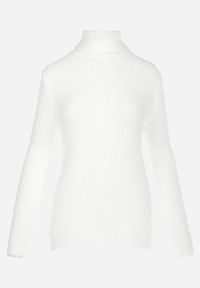 Born2be - Biały Golf Wełniany Karle. Typ kołnierza: golf. Kolor: biały. Materiał: wełna. Długość rękawa: długi rękaw. Długość: długie. Wzór: jednolity. Styl: klasyczny #4